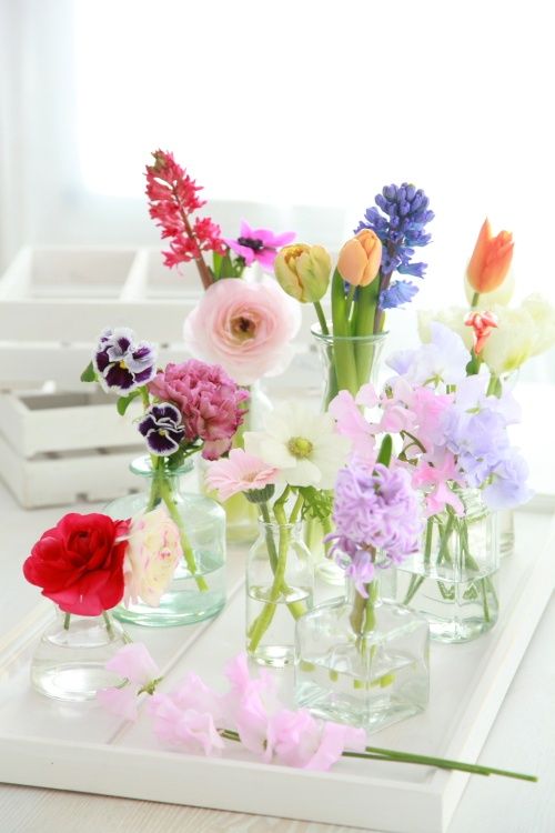 21 Fresh Cut Spring Flower Arrangements and Bouquets