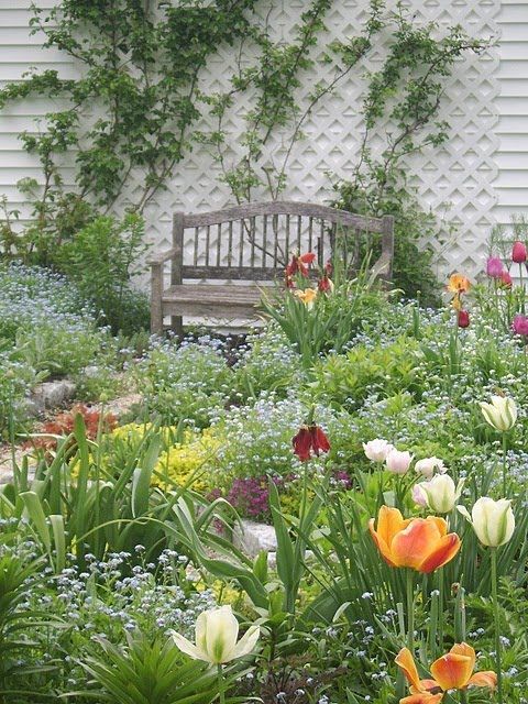 Garden | Outdoor ⊰✿