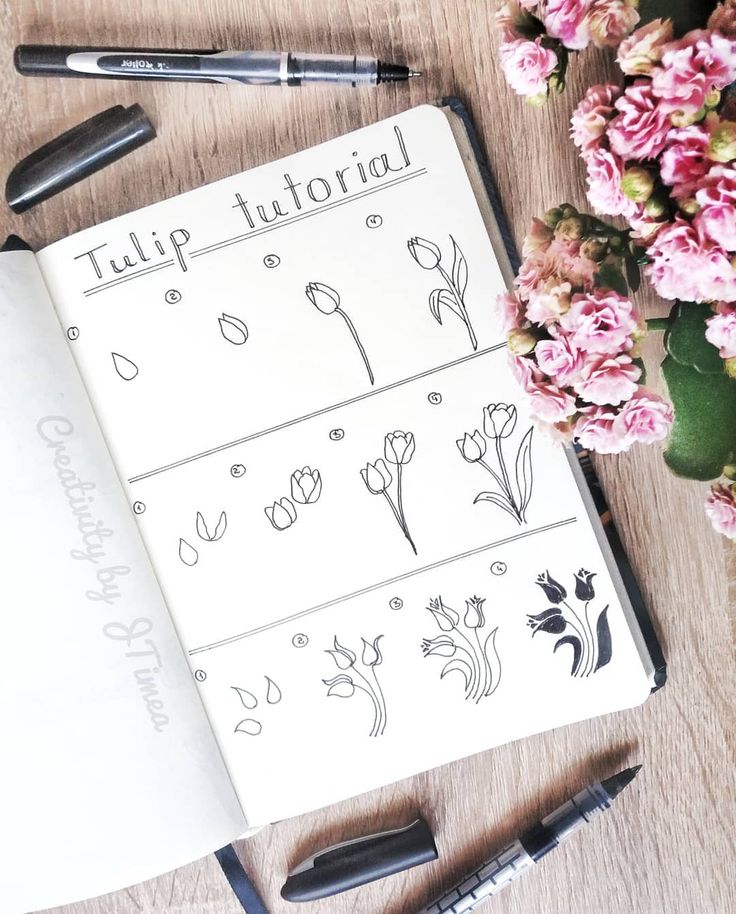 Bullet journal drawing idea, tulip drawings, tulip drawing tutorial. | @creativi...