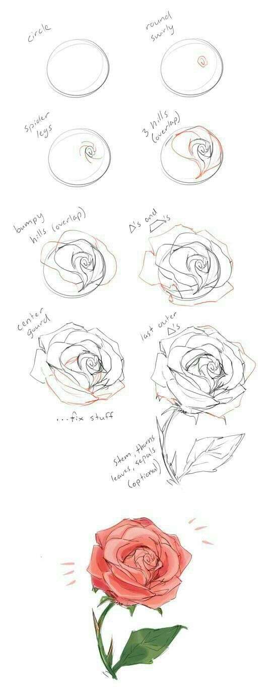 Tutorial de como se desenhar uma rosa