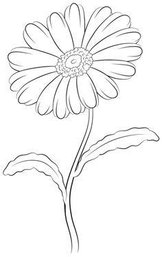 How to Draw a Daisy Step by Step