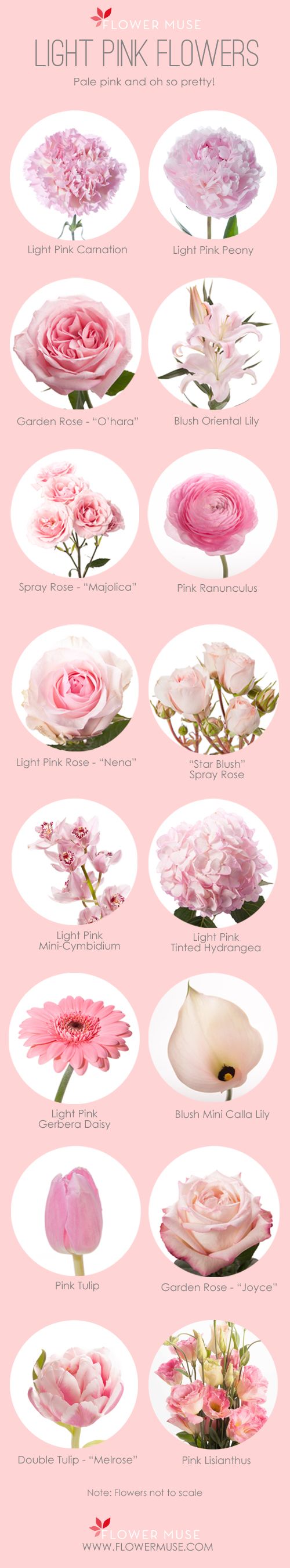 We've put together our list of favorite light pink flowers to inspire you to...