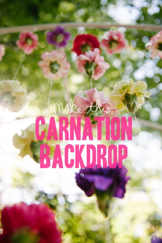 | How To Carnation Backdrop