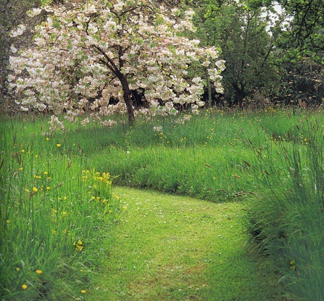 Meadow path