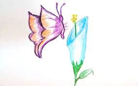 Image result for drawings of flowers and butterflies