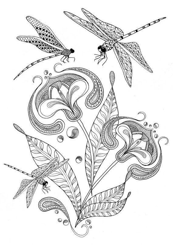 Adult colouring pages of dragonfly and flower illustration. Printable coloring...