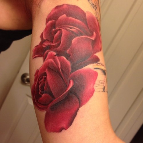 realistic roses, no outline