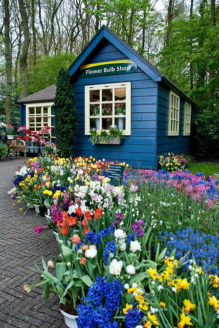 Flower Shop - Keukenhof Gardens