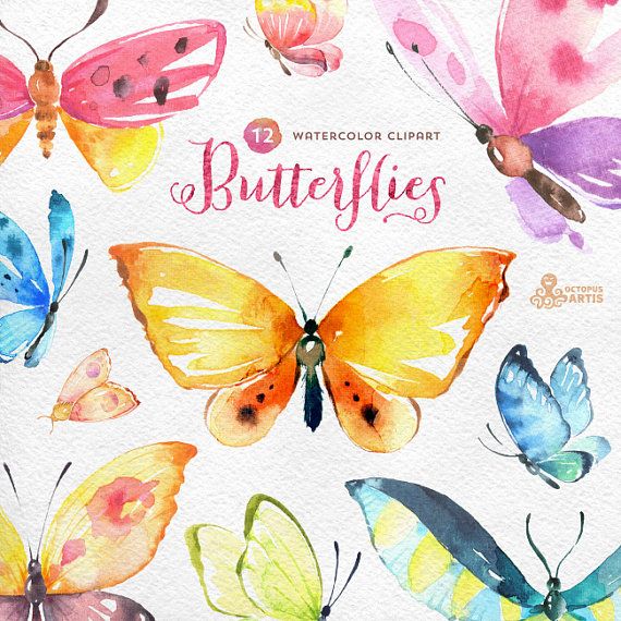 Butterflies Watercolour: 12 Separate hand painted clipart, diy elements, invitat...
