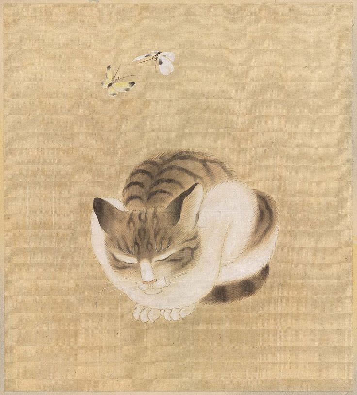 Sleeping Cat and Butterflies from the album Birds and Flowers, Japanese, first h...