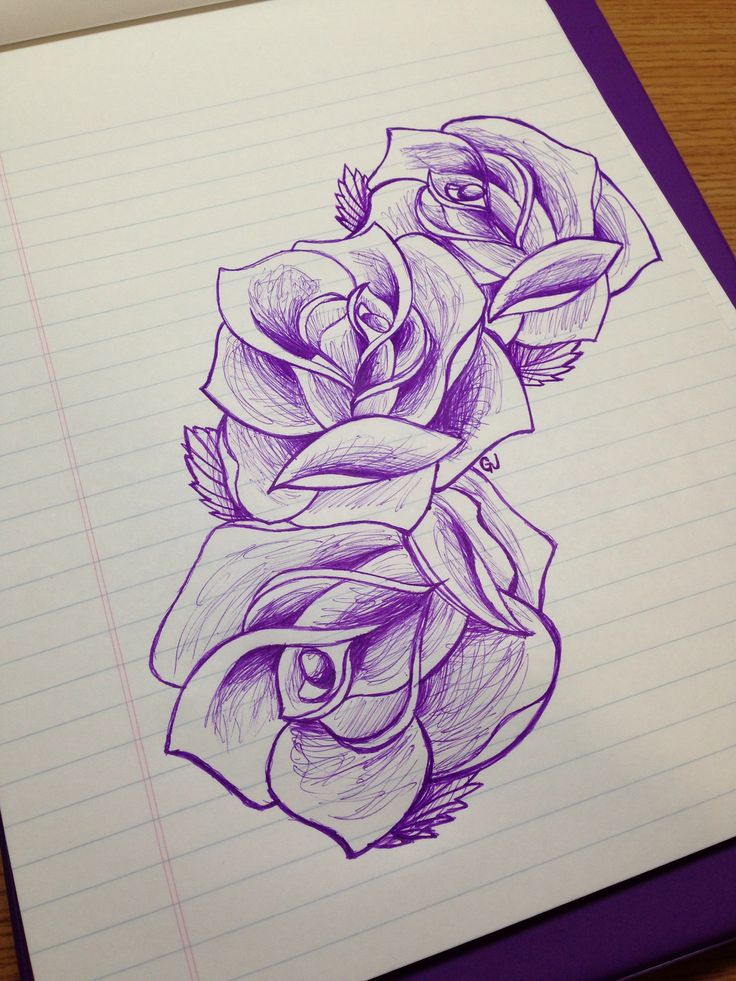 Flowers Drawings : Rose sketch drawing beautiful design three flowers