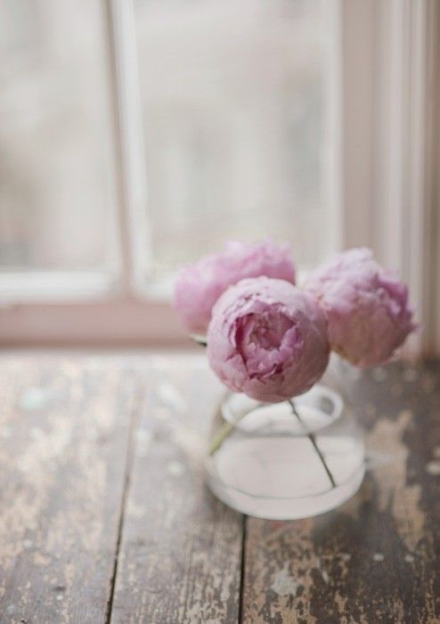 a vase of pink flowers next to a window, on wood table