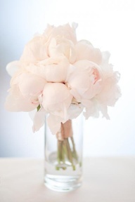Lovely peonies