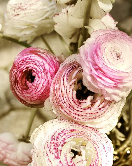 cottage decor pink flowers floral print magenta by SeeLifeShine