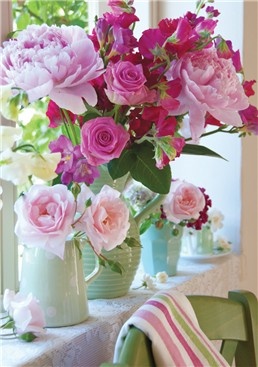 pink roses...