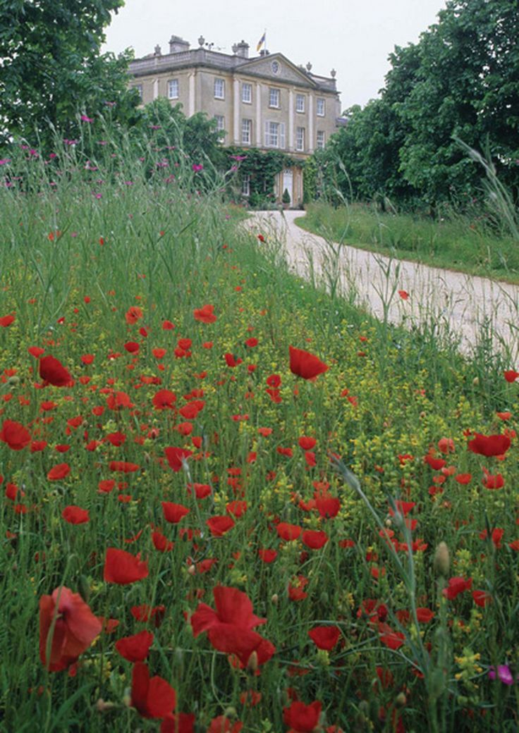 Highgrove gardens, designed and kept by Prince Charles ~ England