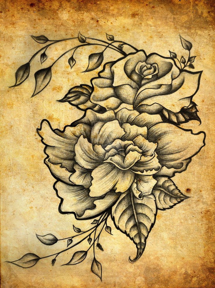 Shaded roses design tattoo inspiration
