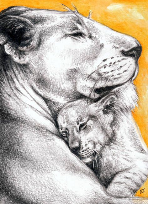 lioness hugging a cub
