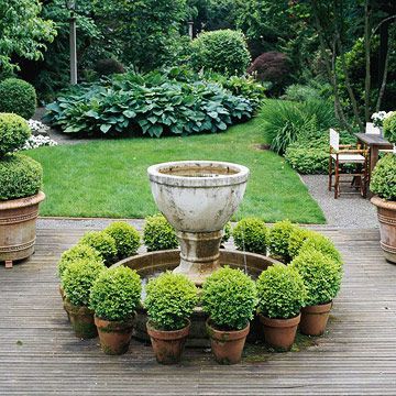 love potted boxwoods