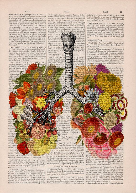 Flowers Drawings Inspiration : Flowery Lungs human Anatomy Print on