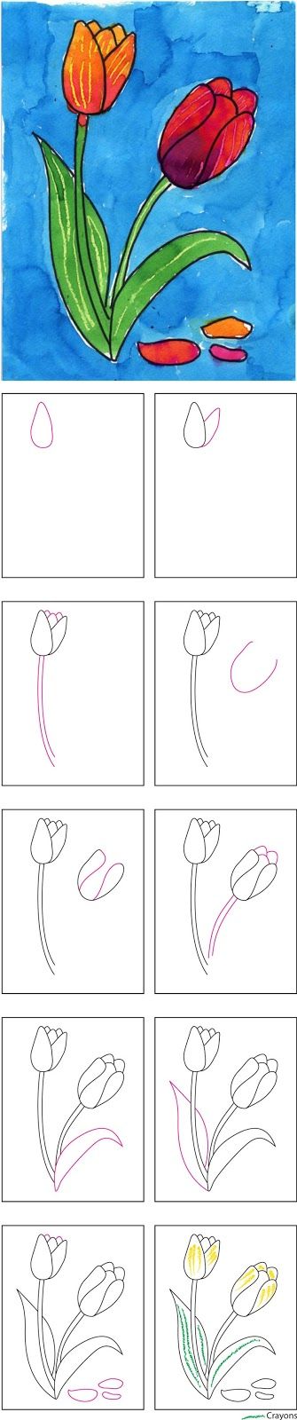 Spring Art Idea: How to Draw a Tulip-would be good for 1st or 2nd grade. Could m...