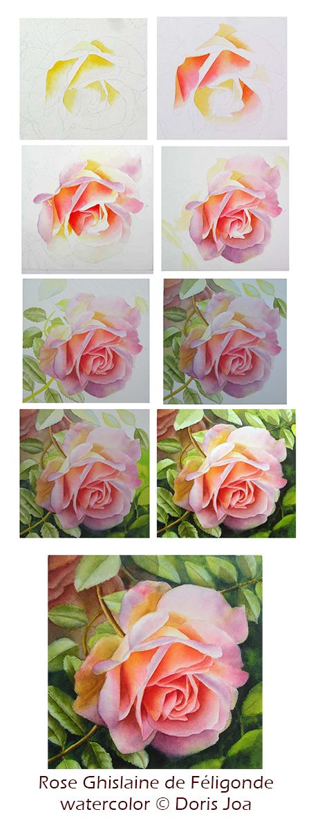 Watercolor Lessons - Paint a Rose - Free Demonstration by Doris Joa