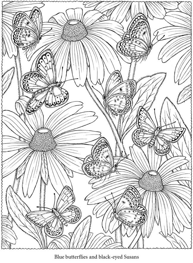 Welcome to Dover Publications  Creative Haven NatureScapes Coloring Book