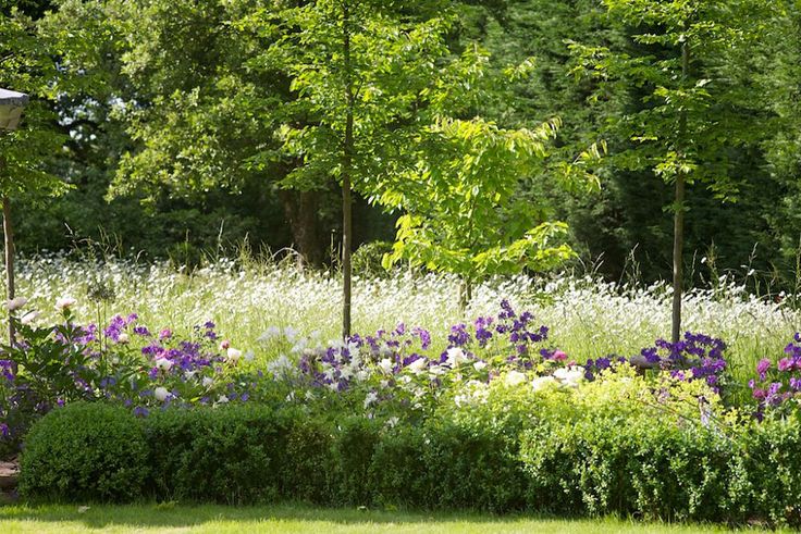 Crisp lawns sit in front of wild flower meadows in this beautiful town garden