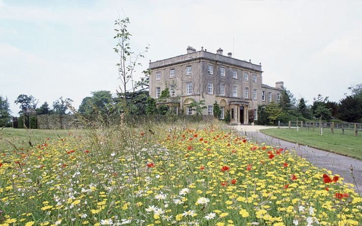The Wild Flower Meadow at Highgrove. Photography by Tim Graham