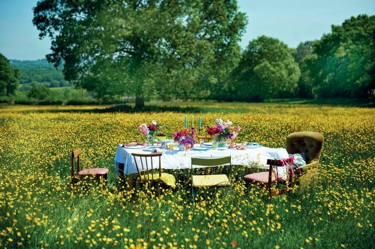 What could be nicer than a table laid invitingly, in the middle of a Wild Flower...