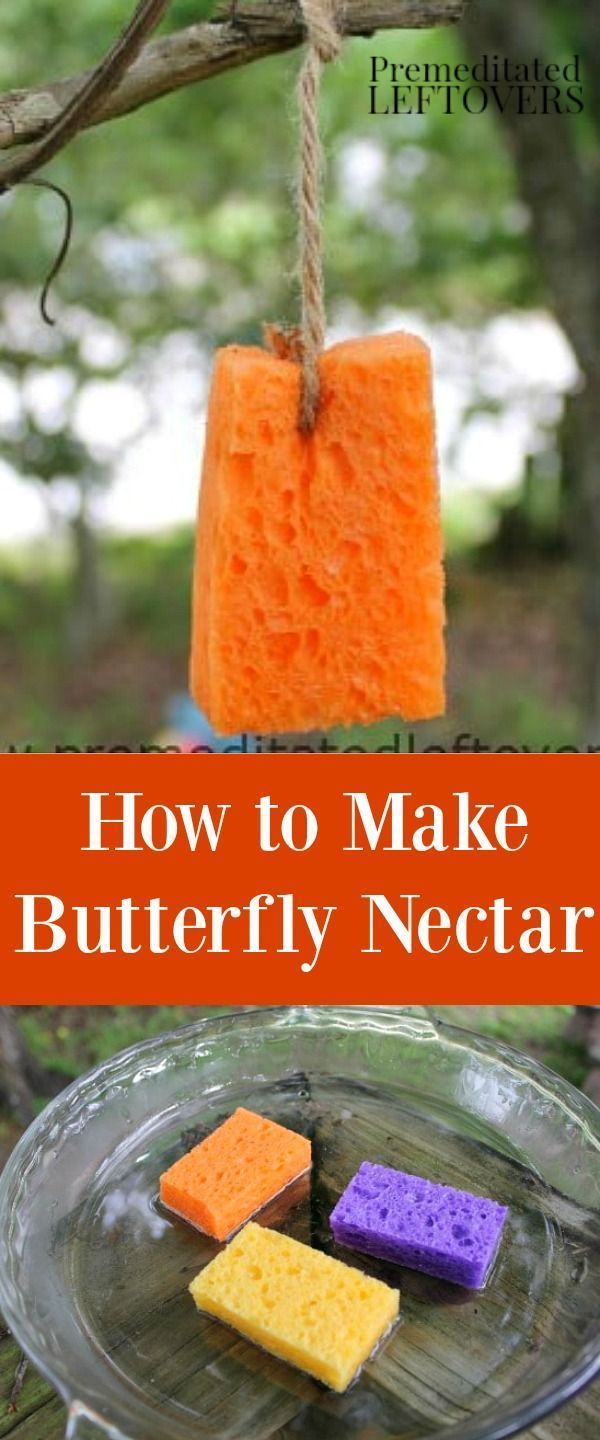 Do you want to attract butterflies to an area of your yard? Here is How to Make ...