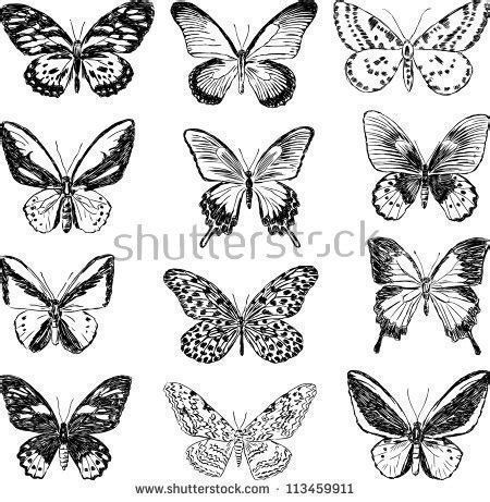 Resultado de imagen de Drawings of Flowers and Butterflies
