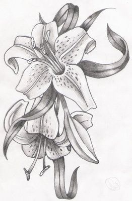 pencil drawings of flowers - Поиск в Google