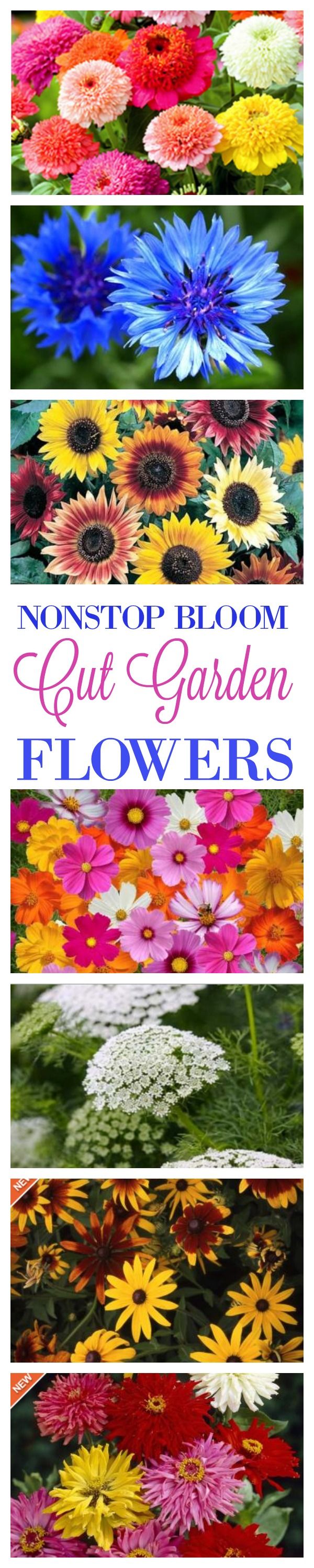 The Flower Seeds You'll Need To Buy For A Cut Flower Garden That Has Magnifi...