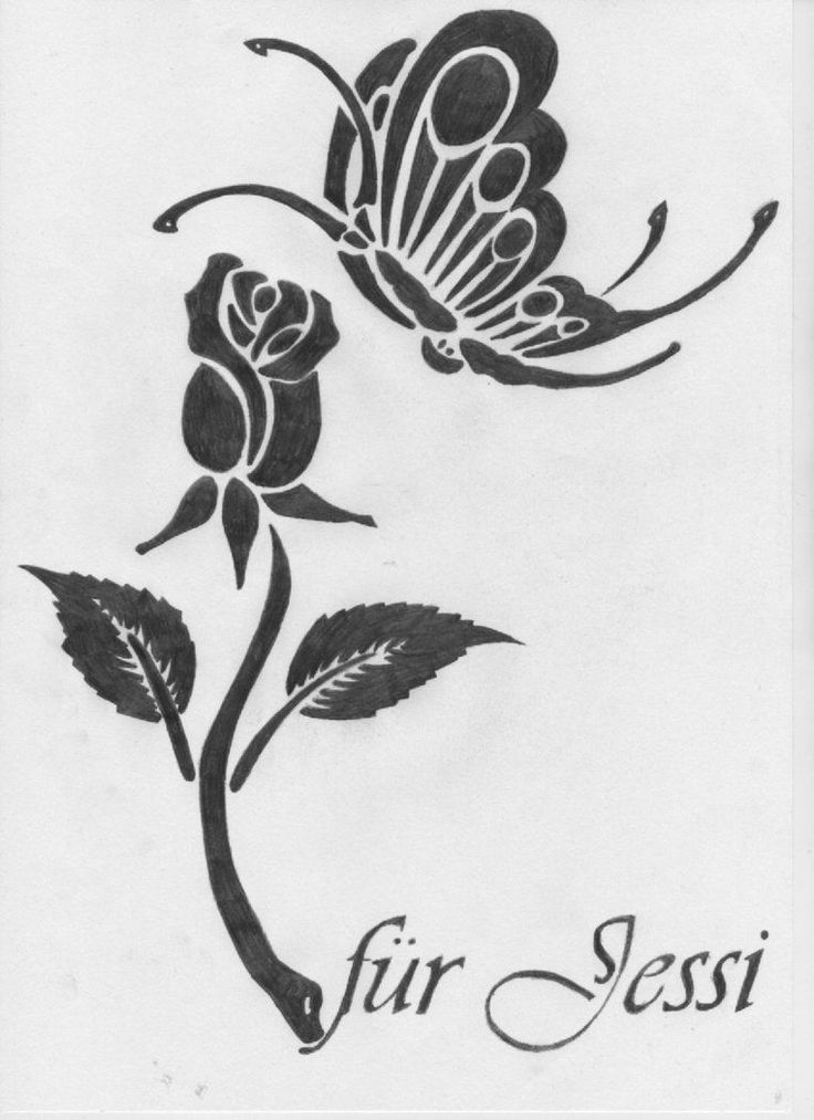 pencil drawings of flowers and butterflies - Google Search