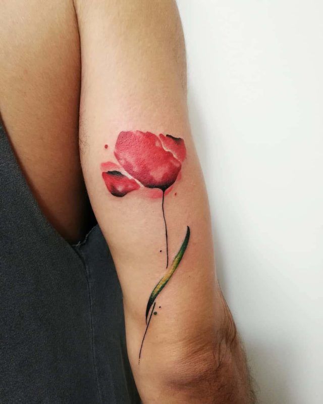 poppy tattoo on arm