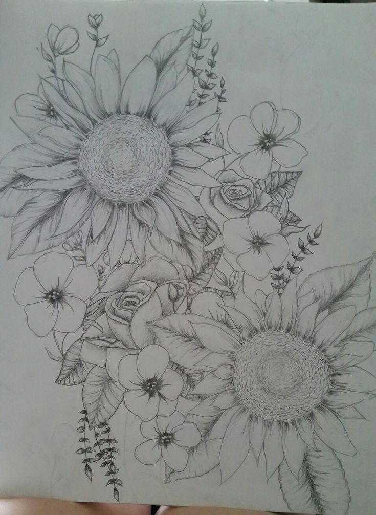 Flowers Drawings : Sunflowers and roses, possible tattoo - Flowers.tn
