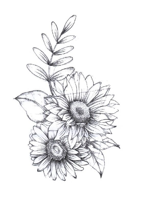 Time for drawing#flower