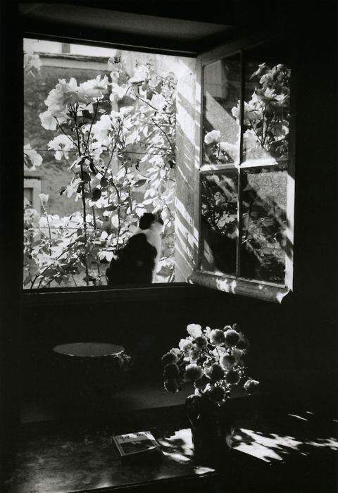 Stanislas at the window. France. Photographed by Édouard Boubat, 1973.