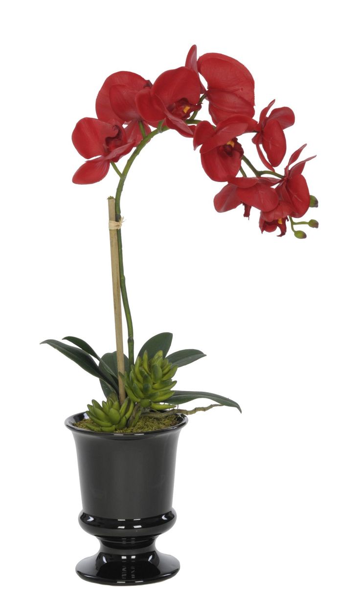 Artificial Phalaenopsis Orchid in Urn