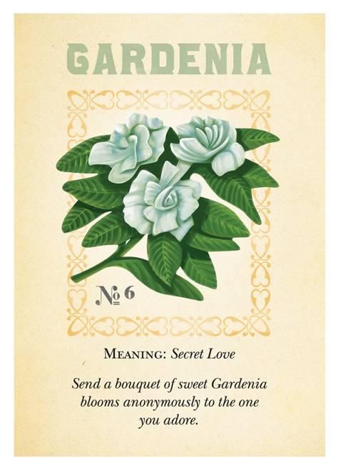 Penhaligons Floriography Card No 6 Gardenia