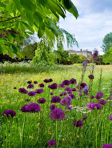 English country house.meadow garden. HIGHGROVE, england
