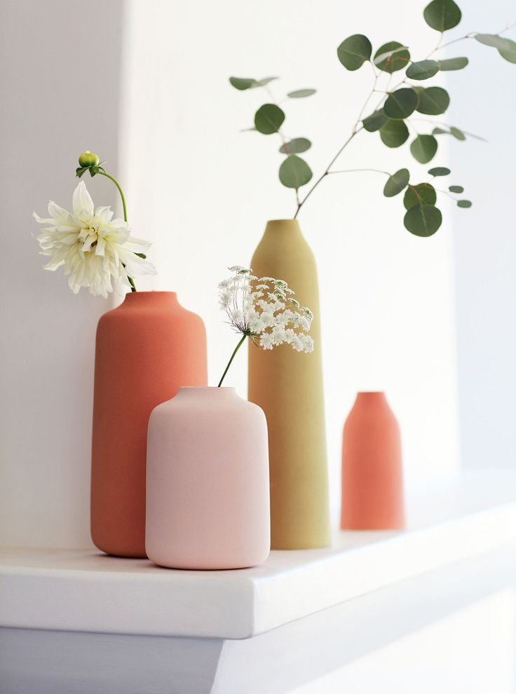simply beautiful single-stems in vases | photographer Debi Treloar