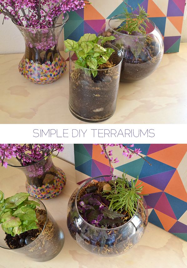 Simple DIY Terrarium Tutorial