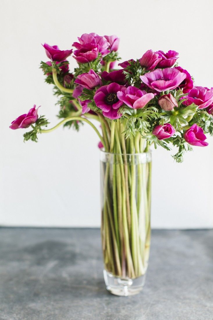 Shopper's Diary: Behind the Scenes at Winston Flowers in Boston