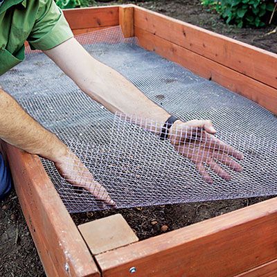 Step-by-Step: Build the Ultimate Raised Bed