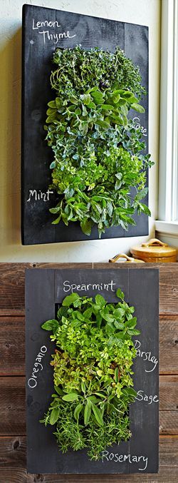 Grovert Wall Planter - Chalkboard Frame Kit