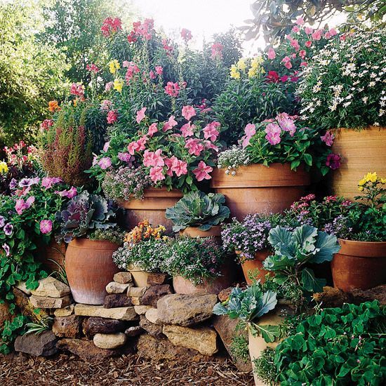 This Planting Guide Solves All of Your Sloped Garden Problems