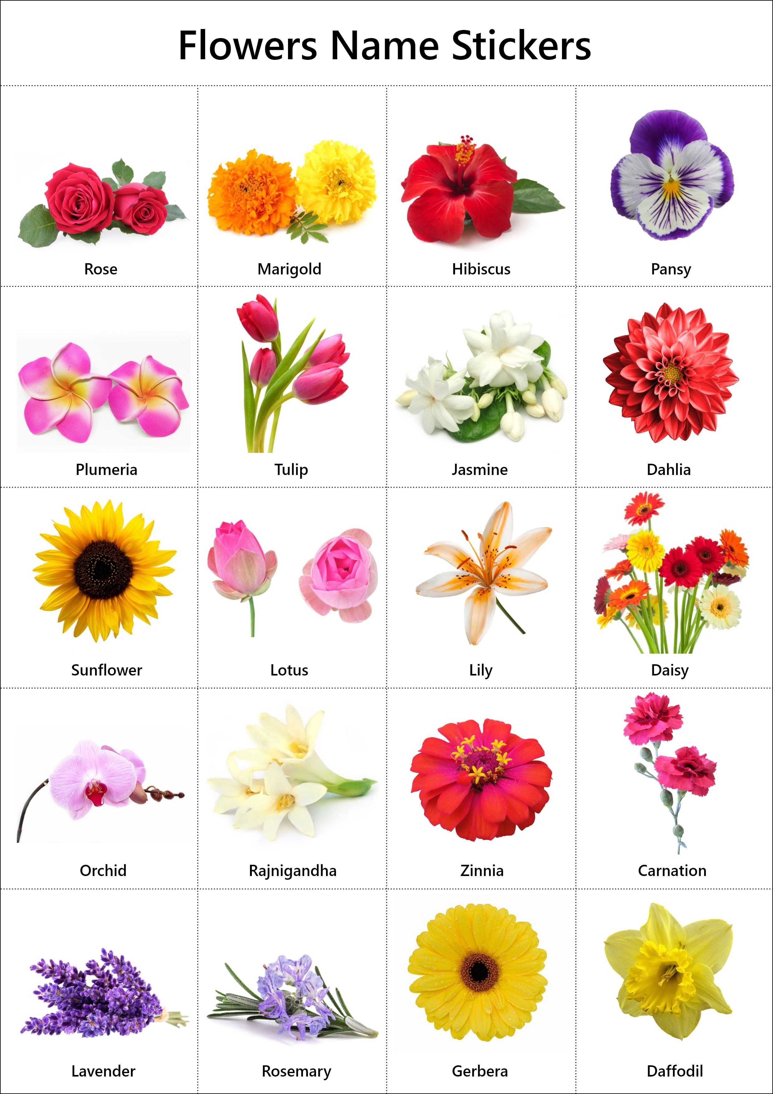 Free Printable Flowers Name Stickers