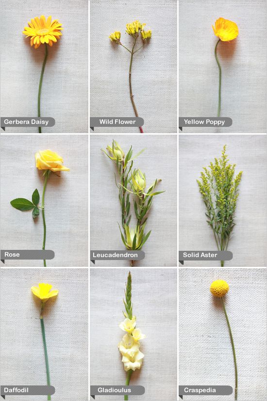 Yellow Wedding Flower Guide
